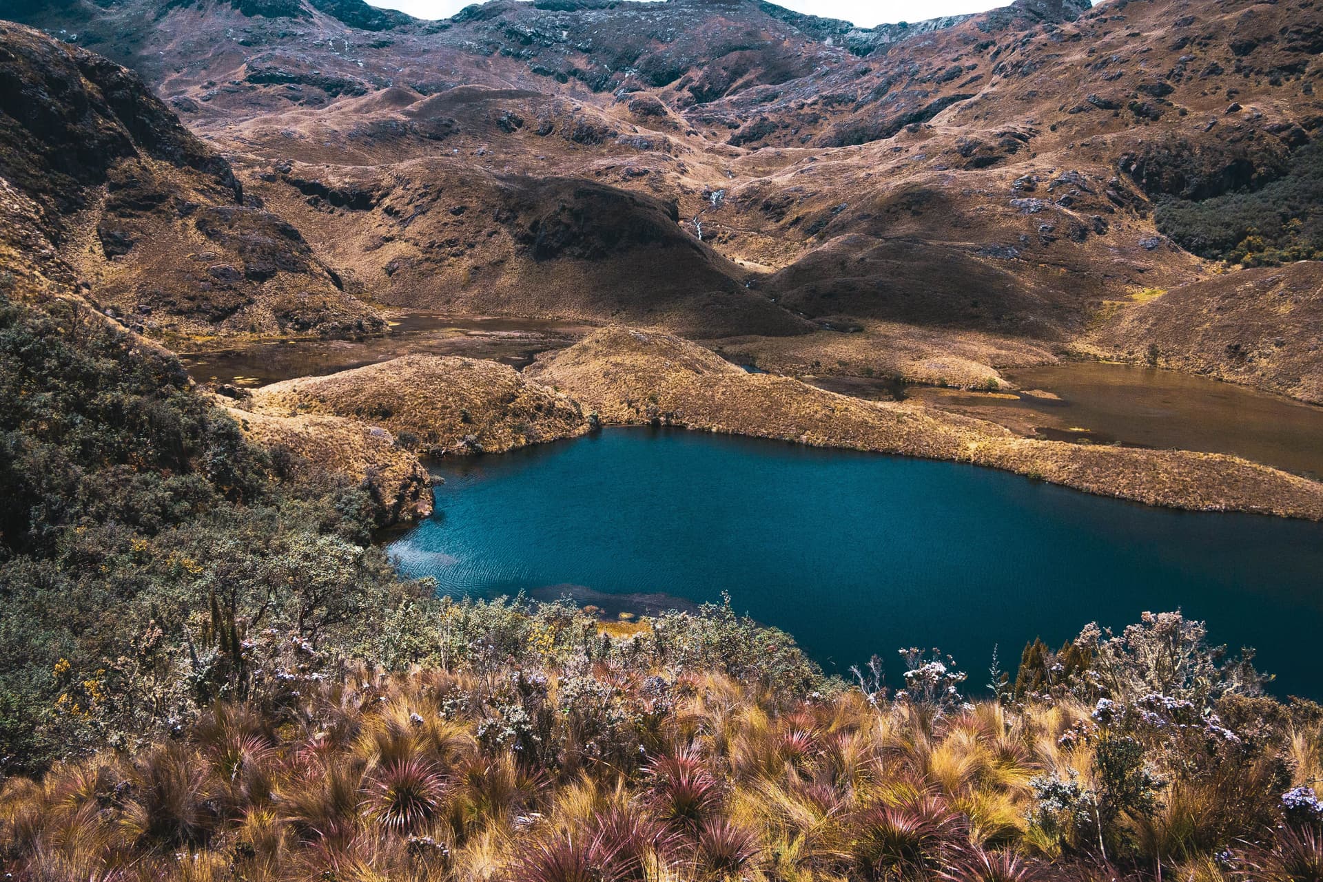 Réserve écologique Cayambe-Coca