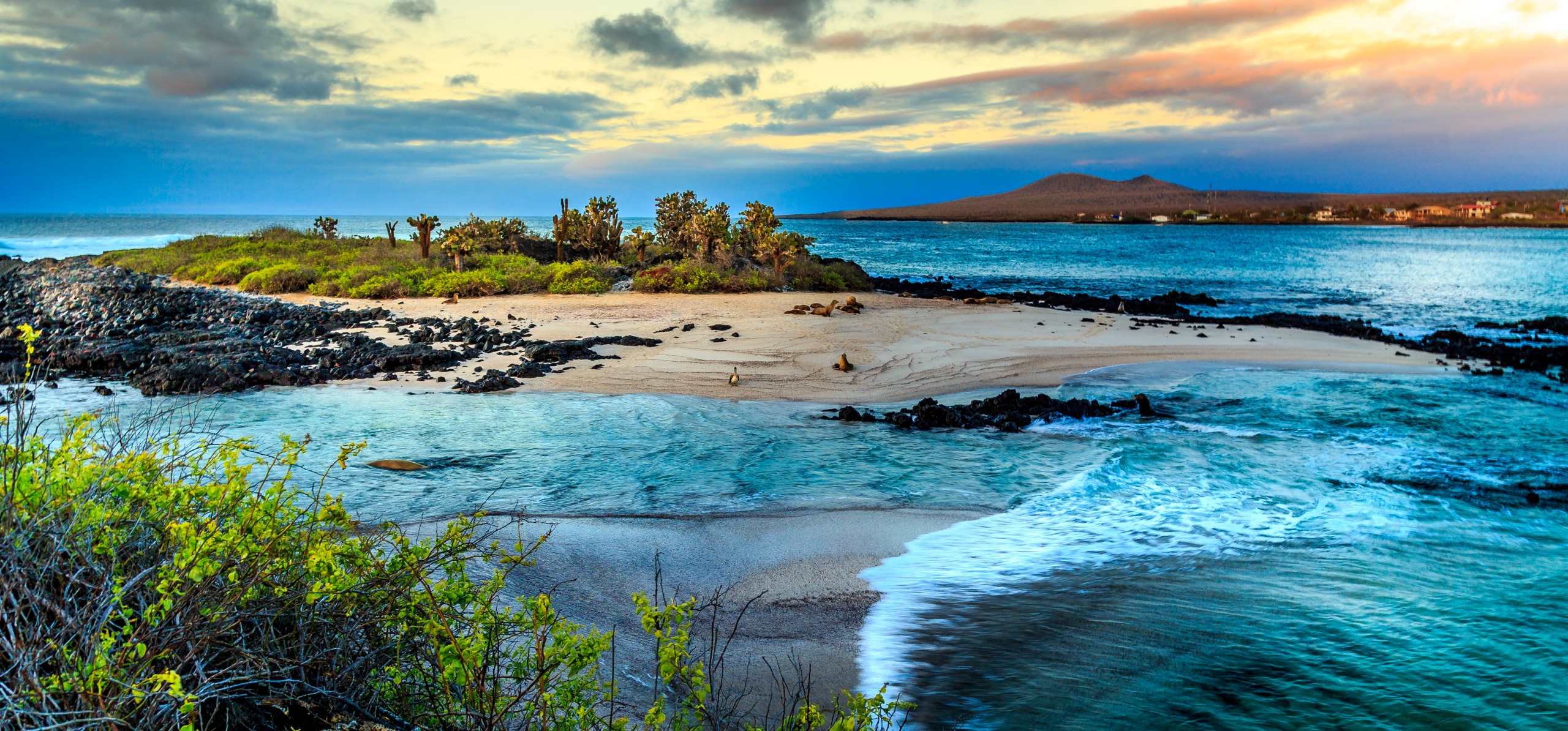 iles galapagos paysage